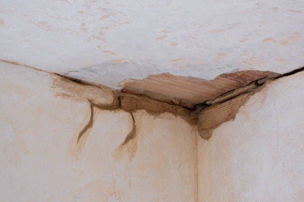 Best Water damage contractors near me  in Columbia, CA