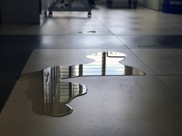 Best Water damage restoration near me  in Columbia, CA