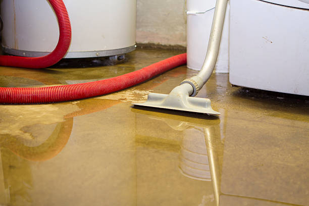 Best Water damage repair service  in Columbia, CA